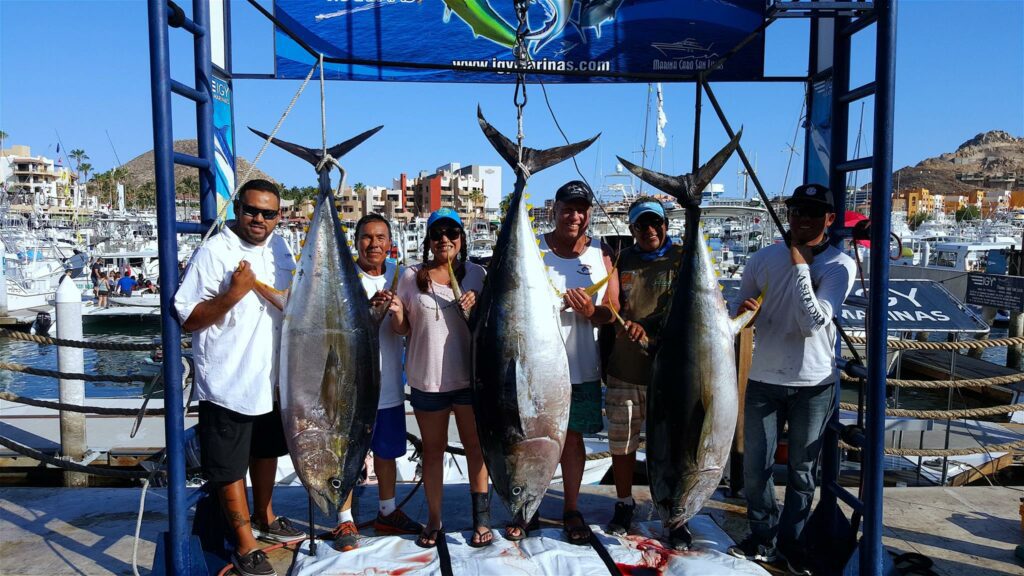 Tuna Fishing