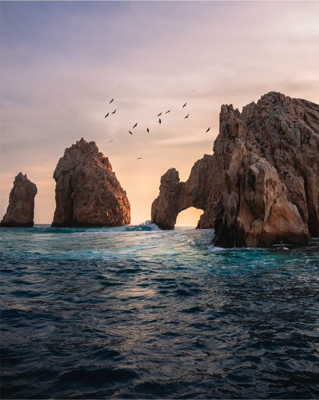 Why Should I Invest in Los Cabos?