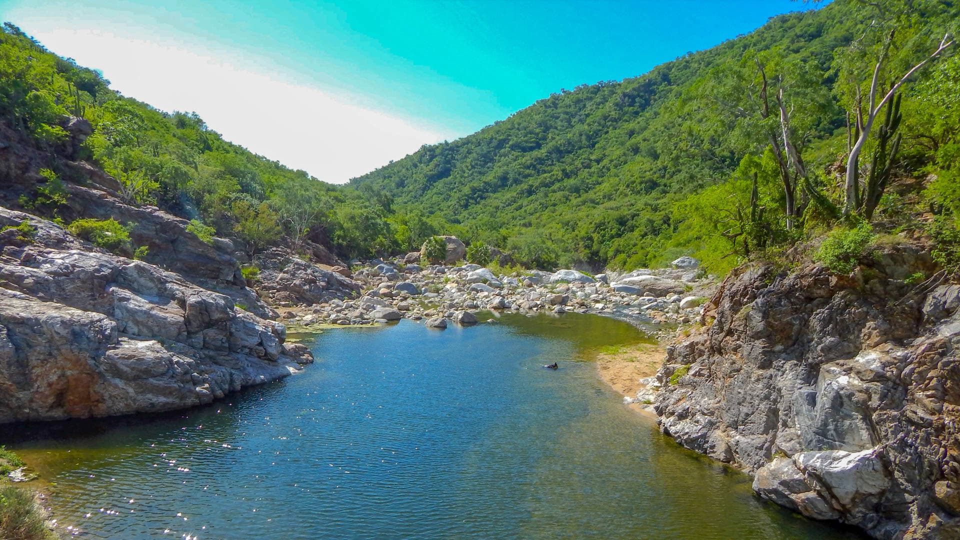 Vámonos de hiking a la sierra de la laguna