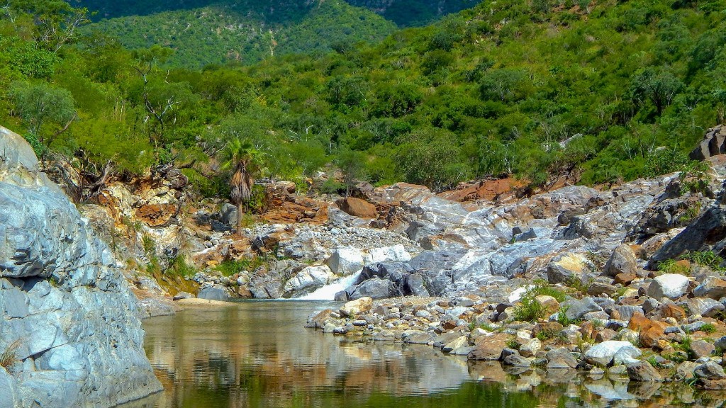 Sierra De La Laguna